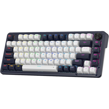 Redragon Ucal K673 - 81 Keys 8K Wired RGB Mechanical Keyboard Blue and White (Magnetic Switch)